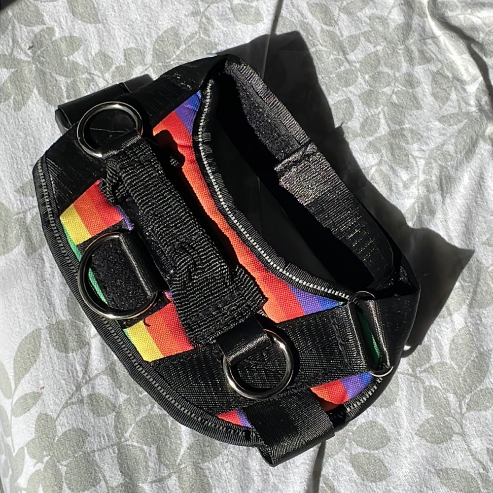 Love is love. Rainbow dog harness. Not as cool as a Joyride or Puglife Harness.